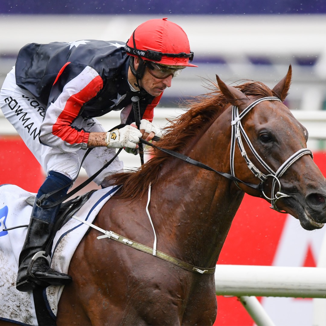 Racing.com - Dalasan is back in work! 🙏 We saw him really progress last ...