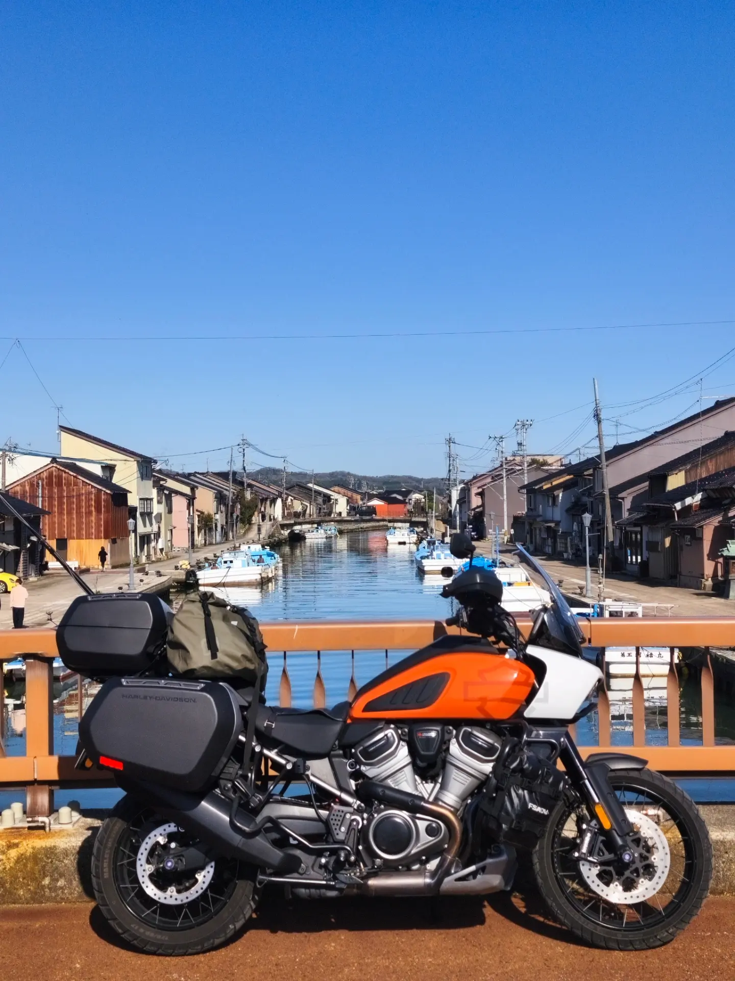 夏です