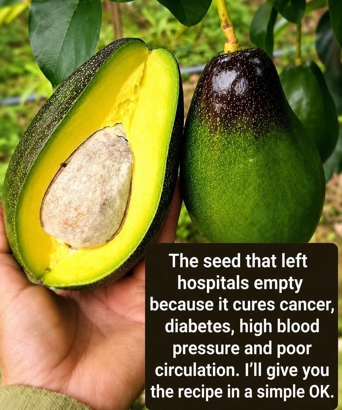 Avocados are jam-packed with nutrients and vitamins and can make a delicious, nutritious addition to your diet