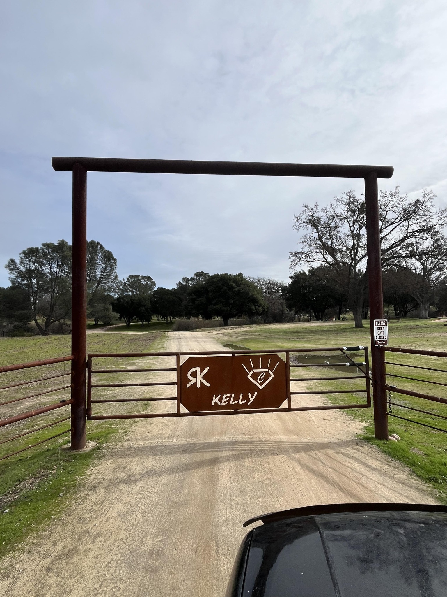 Kelly Ranch and Performance Horses LLC