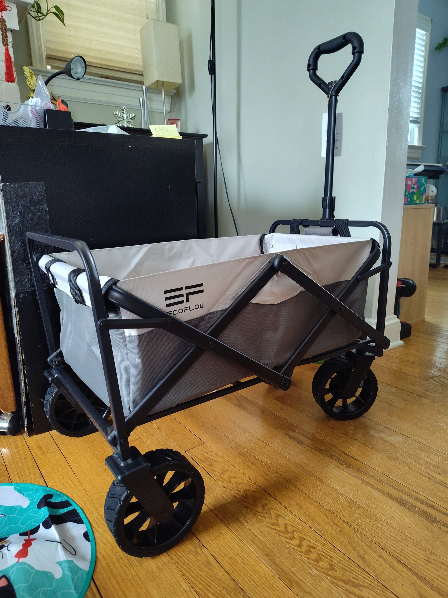 Eco-friendly wagon for cat rides from EcoFlow