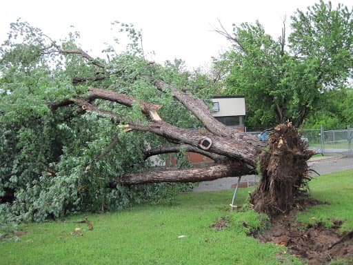 Bolin's Tree Service | Kings Mountain NC