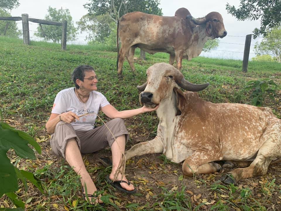 New Govardhana Cow Protection - This is Urvasi Urvasi has been caring ...