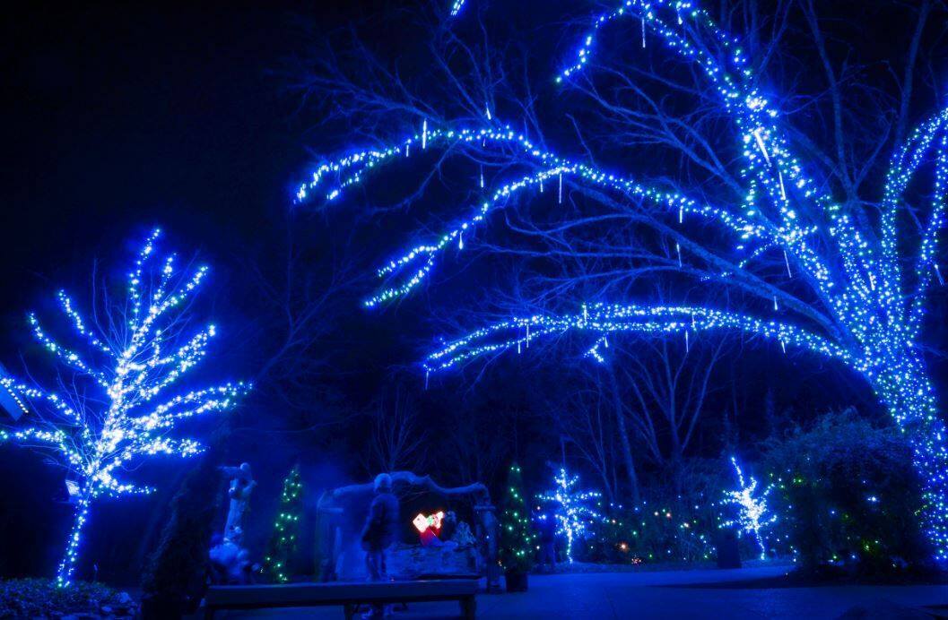 Rock City's Enchanted Garden of Lights