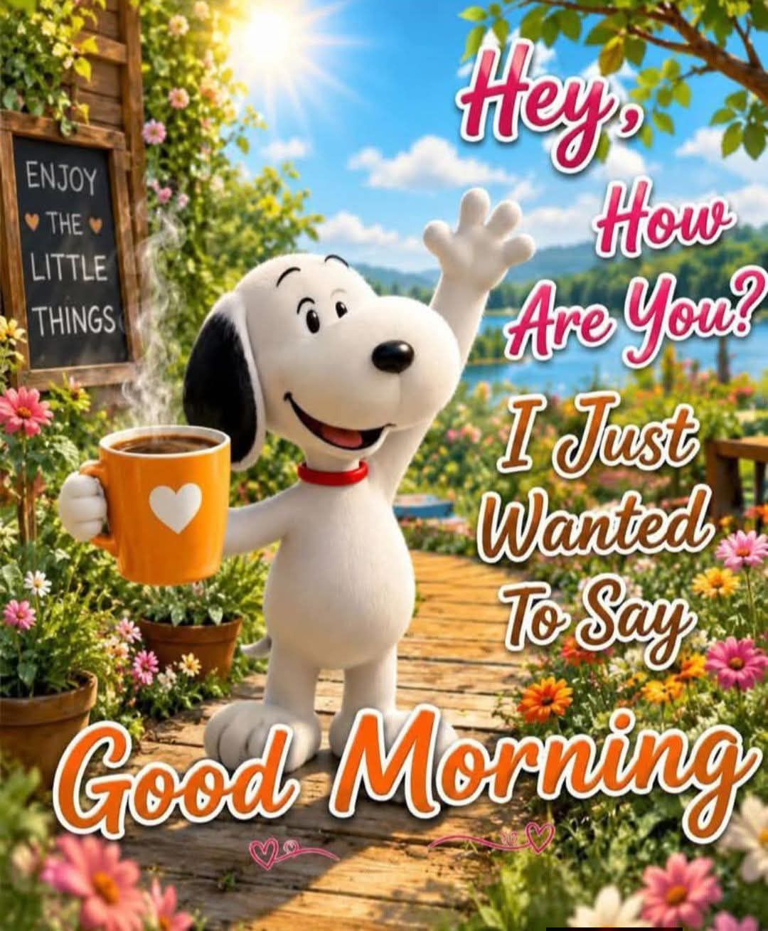 ❤️ m.n.1972さま❤️ ENJOY THE LITTLE THINGS Hey, How Are You? I Just Wanted To Say