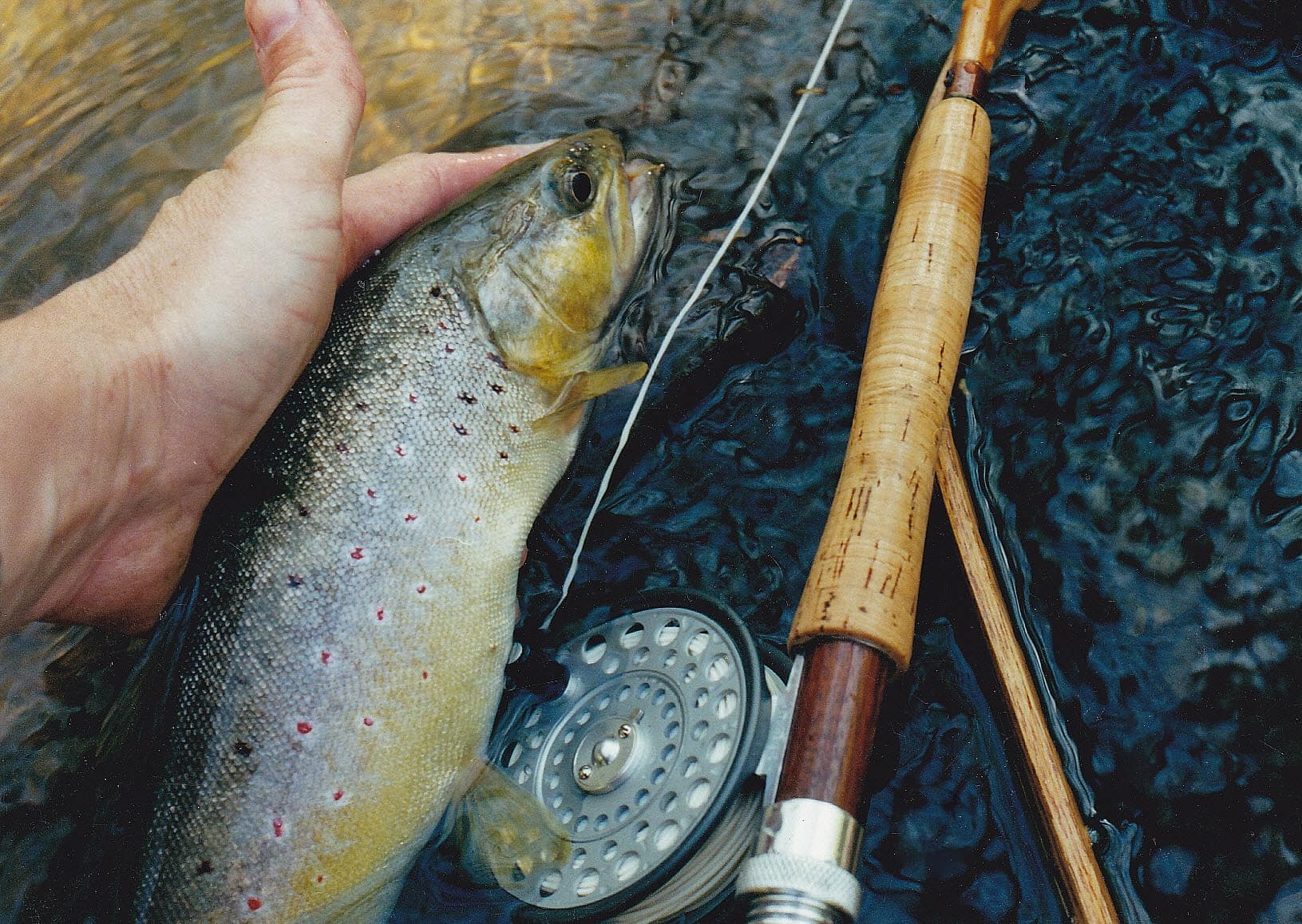 banty payne fly reel 50. Payne, E.F.  Bamboo rod BambooRodmaking Tips - Tips Area