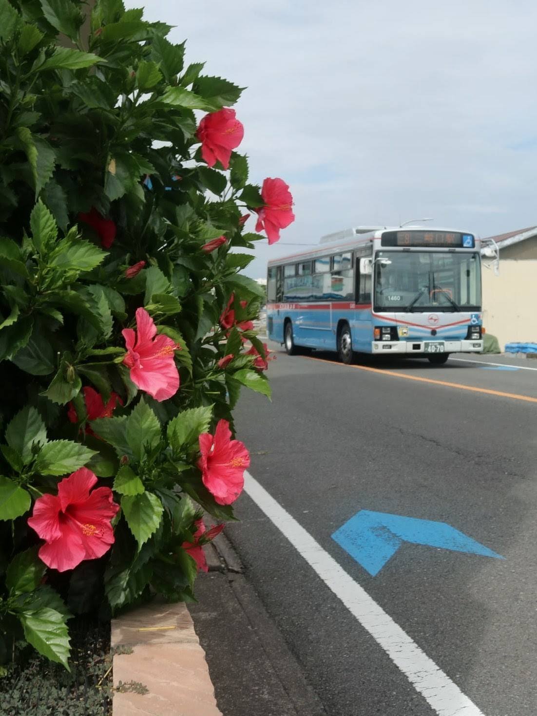 仲崎 京浜急行バス 2026.08.04 民片屋海 1450 B - SOCE