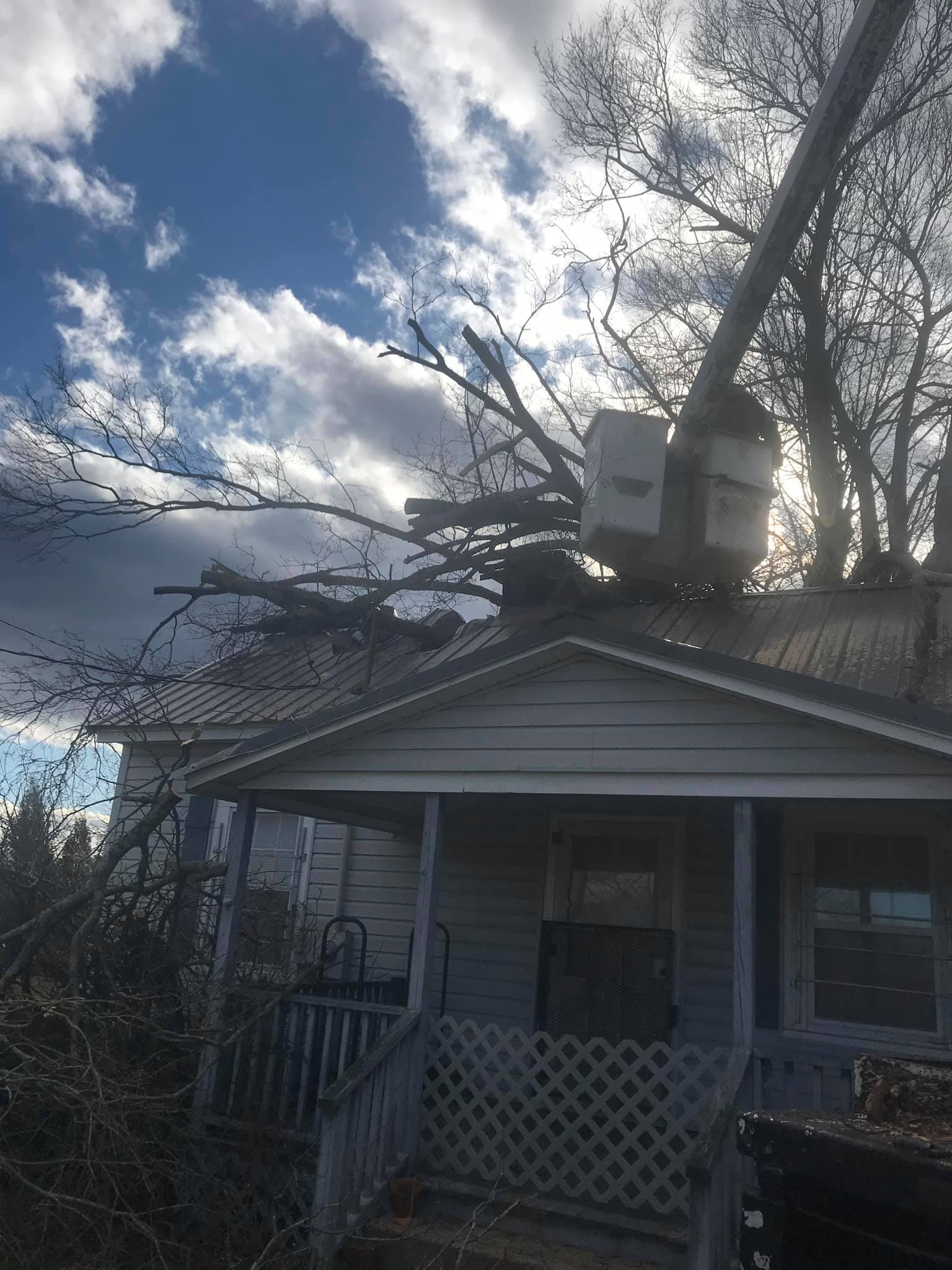Bolin's Tree Service | Kings Mountain NC