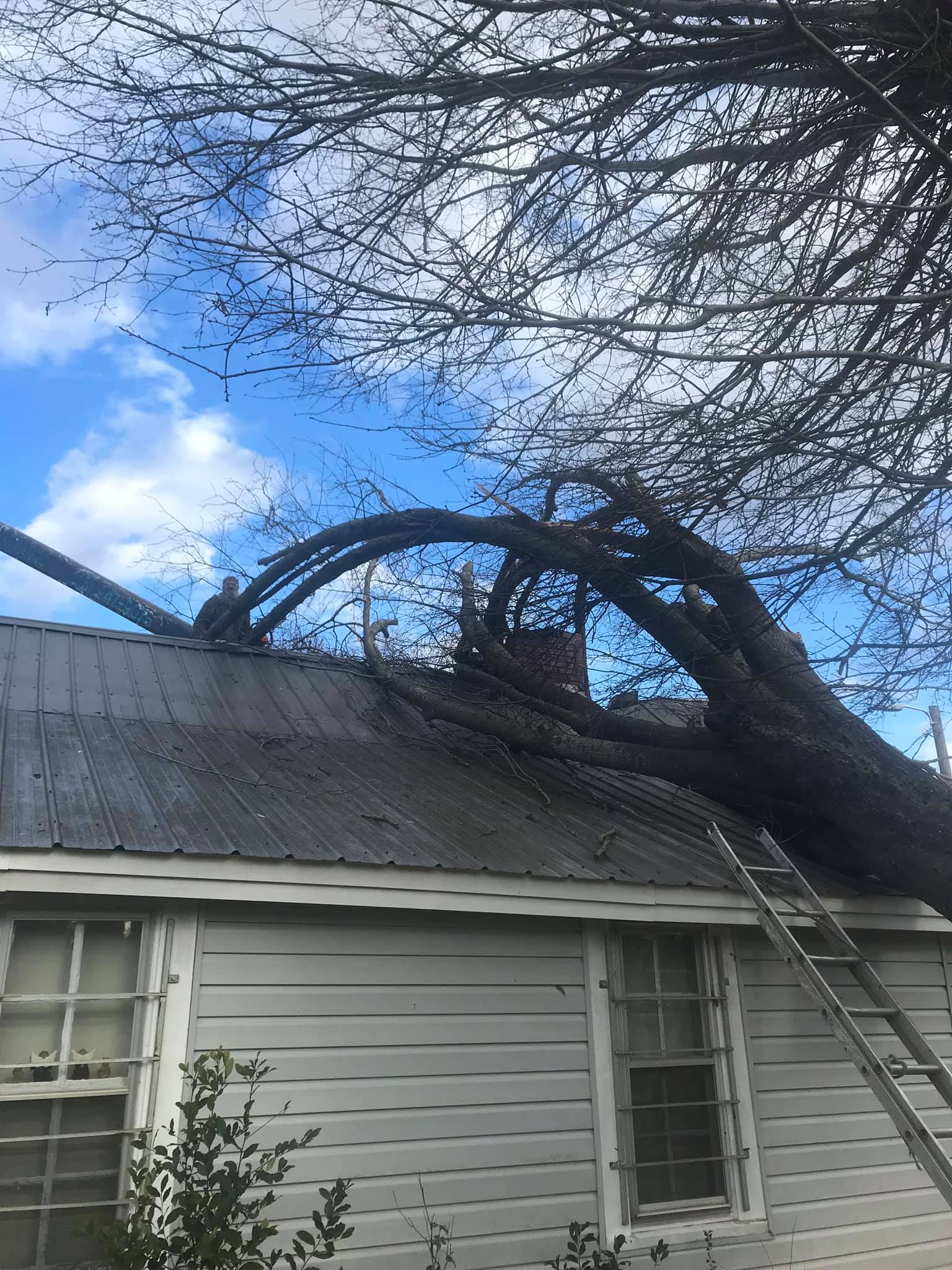 Bolin's Tree Service | Kings Mountain NC