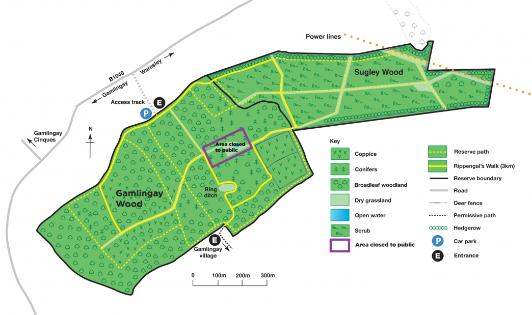 Did you know? Rippengal's walk... - Gamlingay Parish Council | Facebook