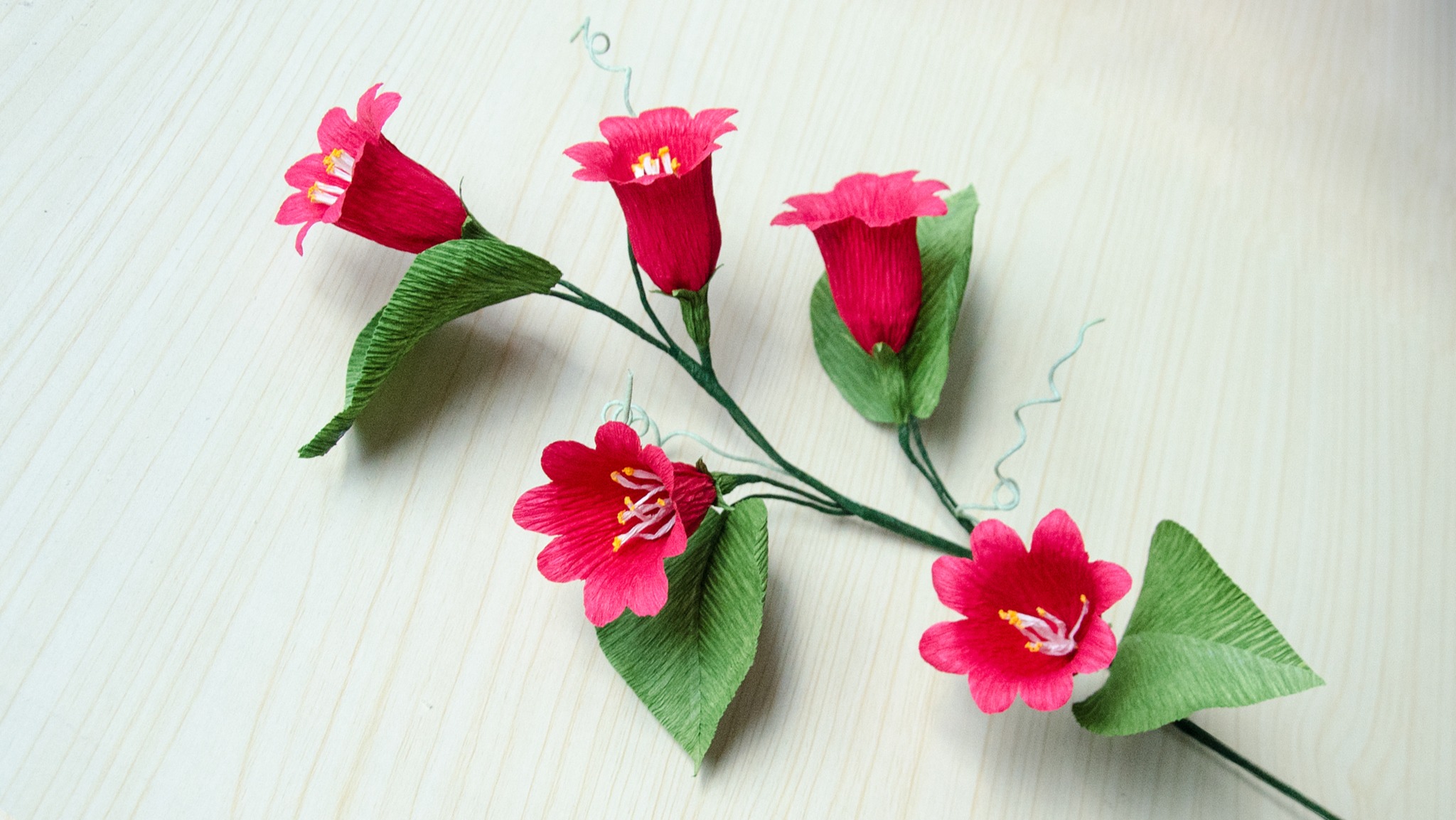 How to make paper and wax flowers?