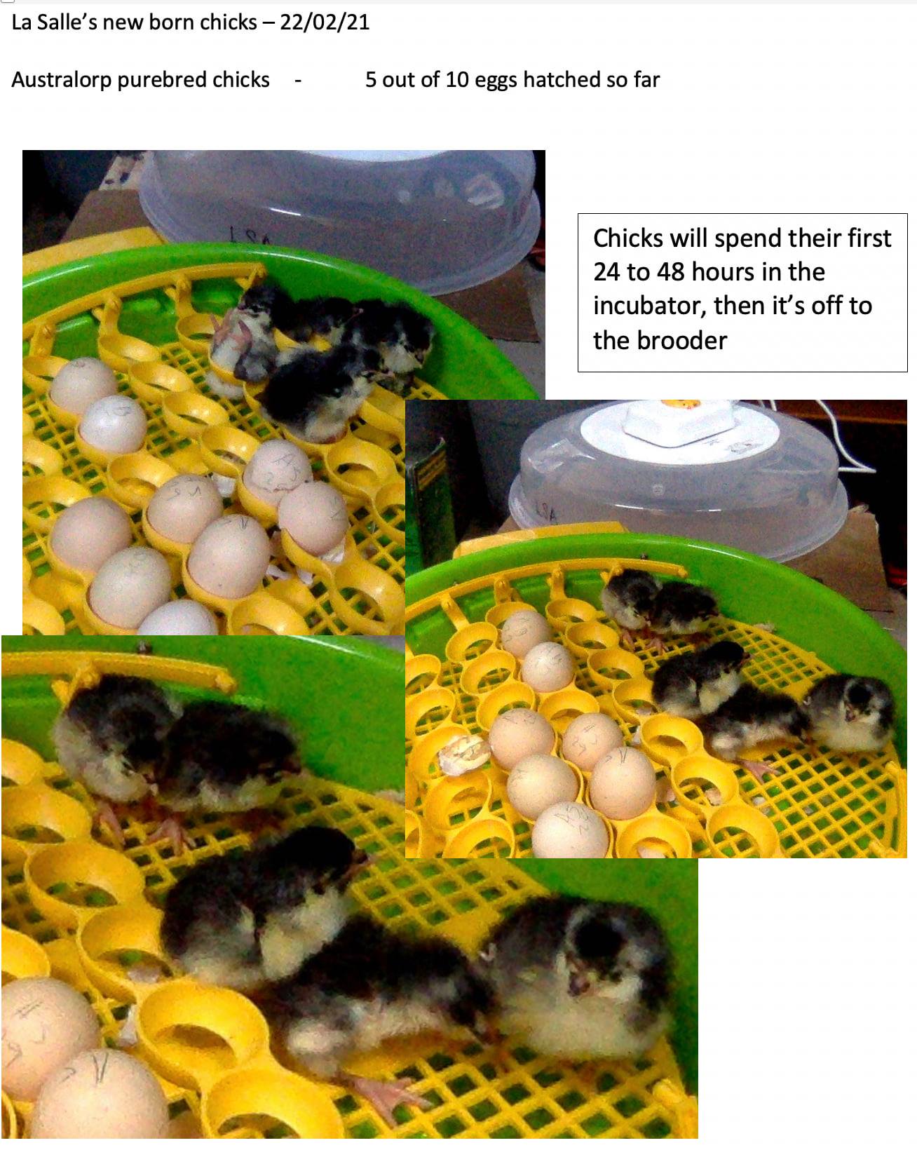 Terrific How Chicks Unzip Gallery