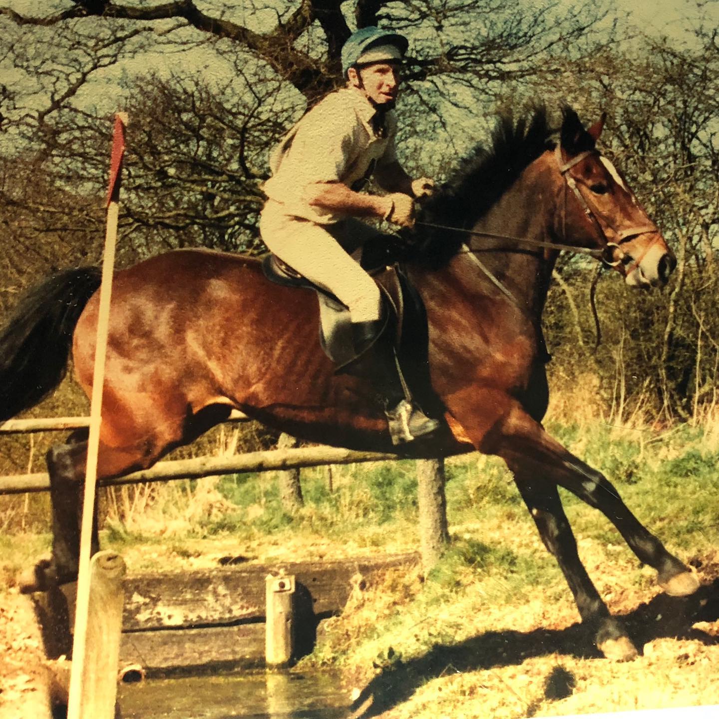 Here is a few Rednil horses... - Rednil Farm Riding Stables