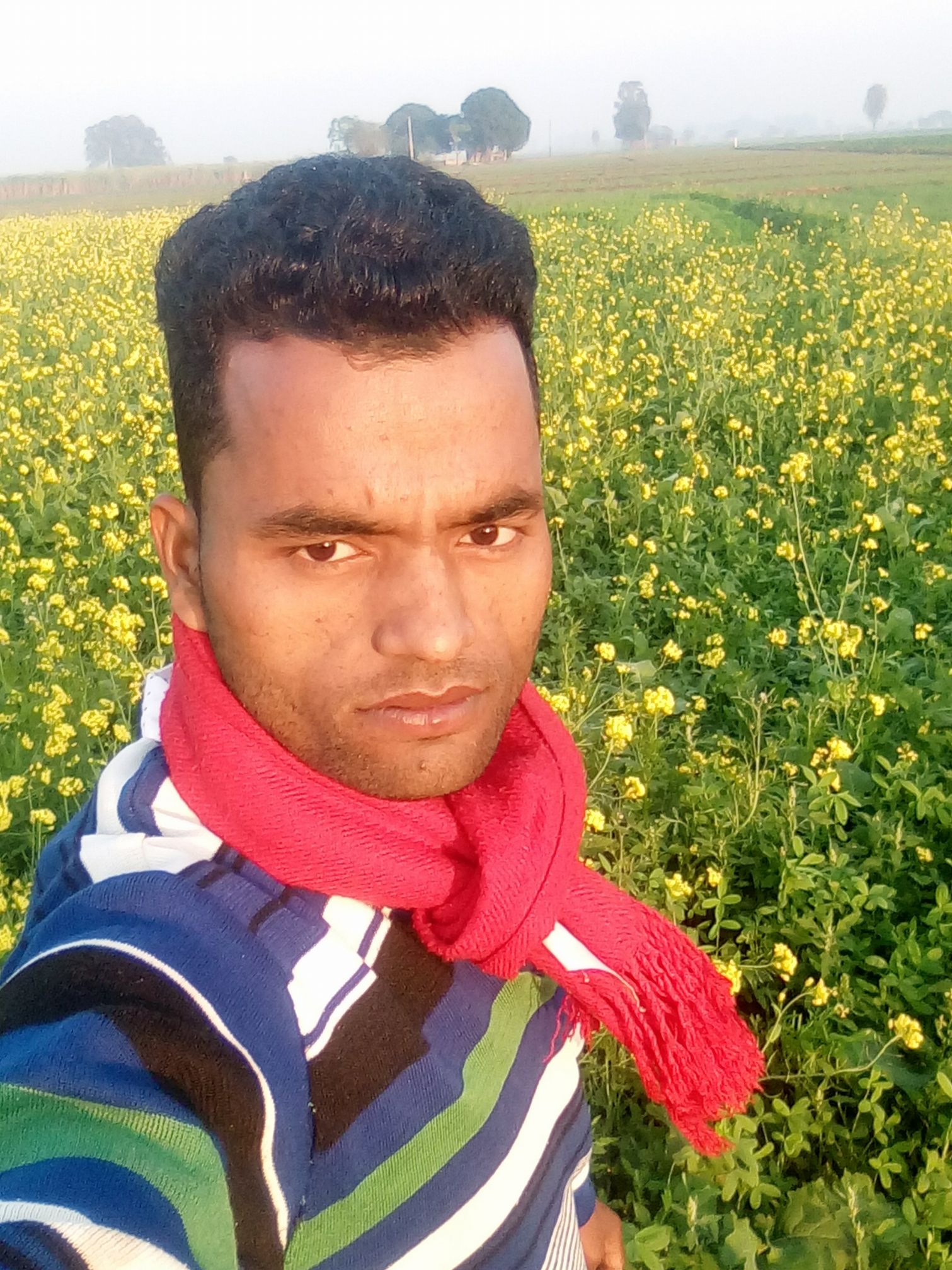 Samrala Group