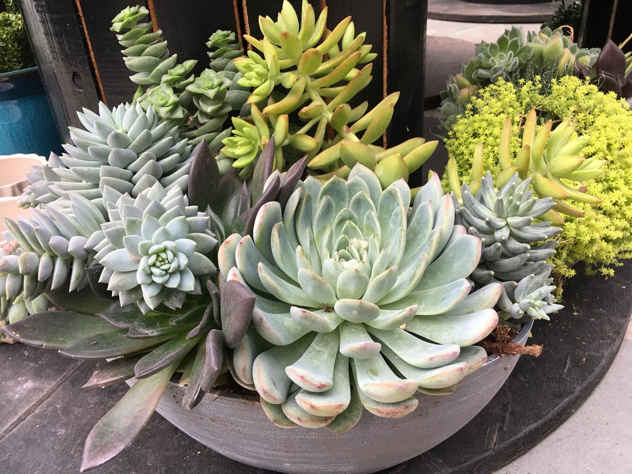 Nicholas Alexander Home & Garden / Landscaping - Home | Facebook