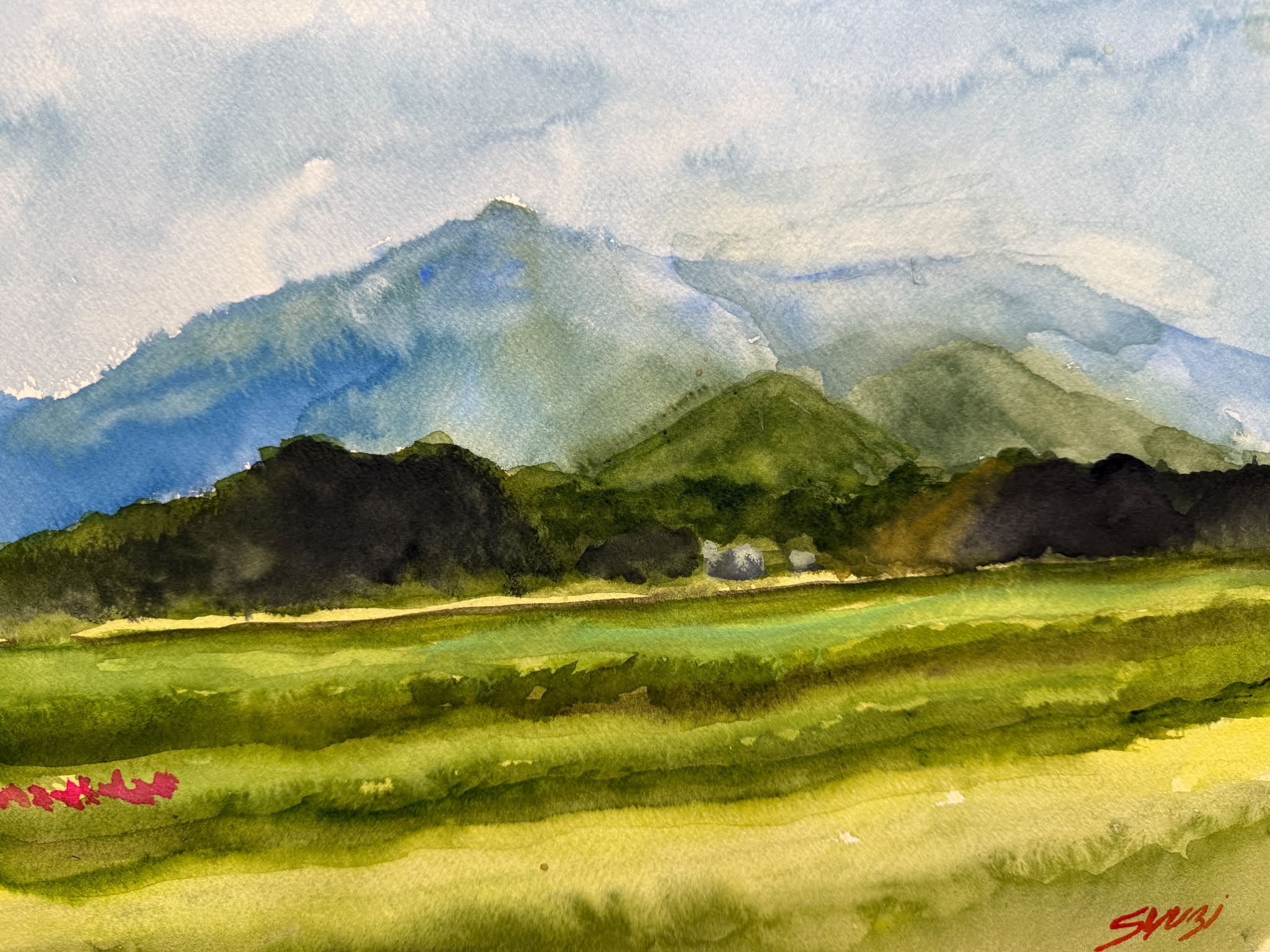 山と草原