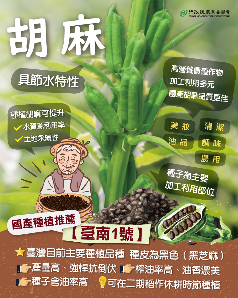 農業部 - #胡麻 又叫烏麻、油麻、脂麻 國內重要的的油料作物之一 為旱作具有節水的特性 近年因氣候變遷降雨減少... | Facebook