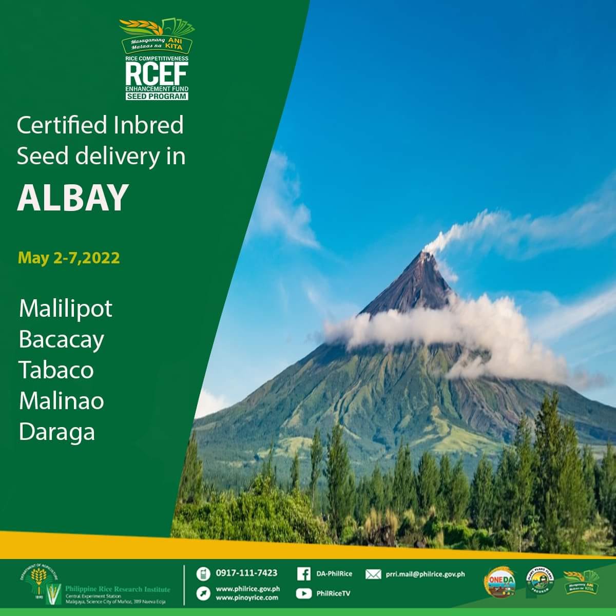 RCEF Seed Delivery Update! Narito ang... - DA-PhilRice Bicol