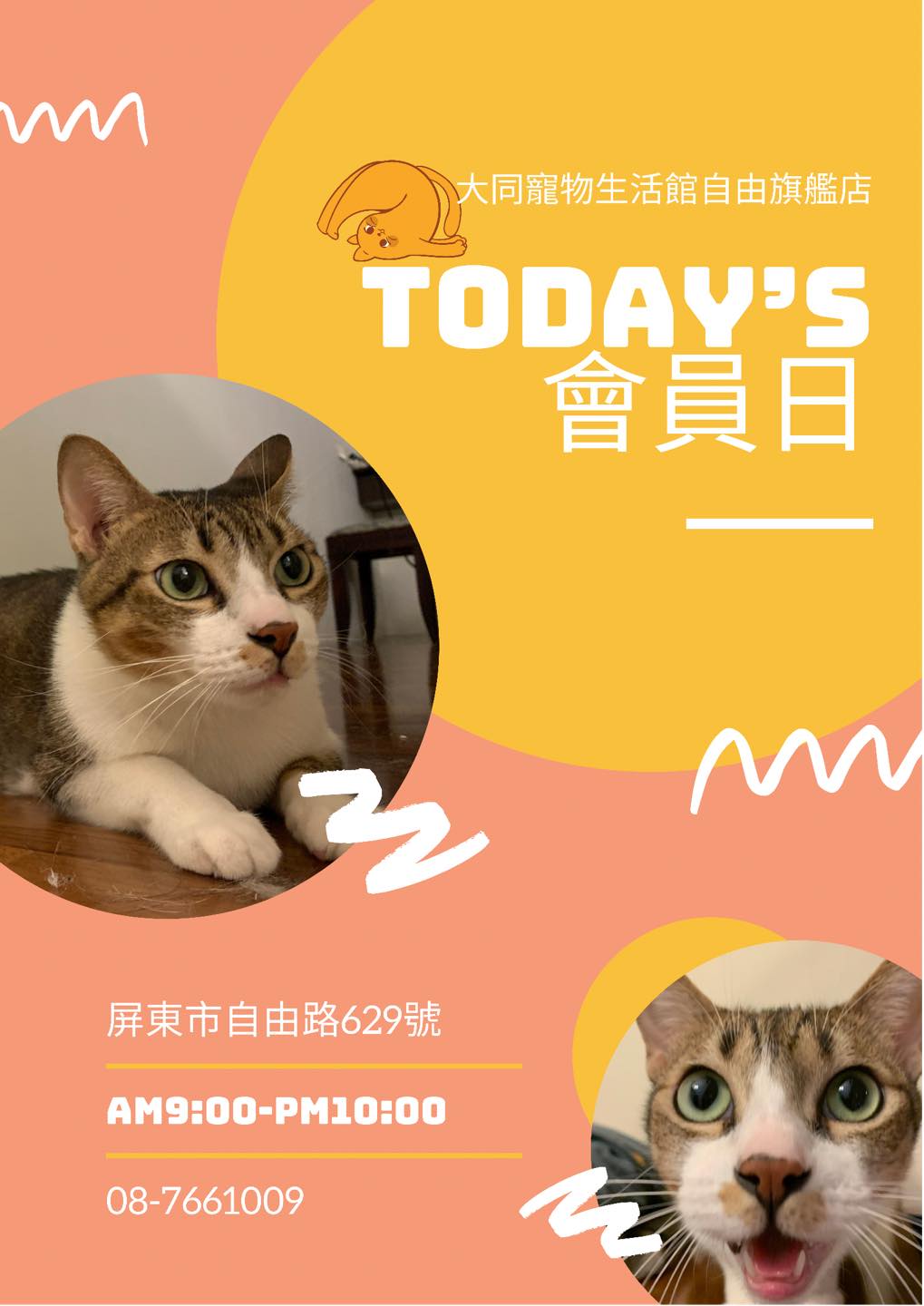 大同寵物家族自由旗艦店 首頁 Facebook