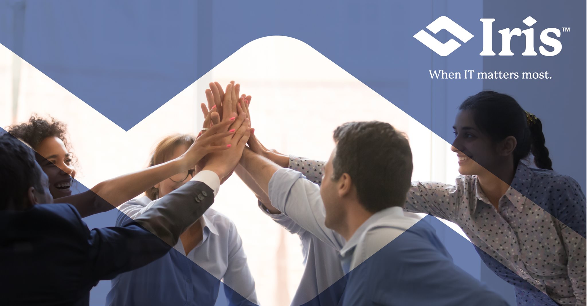 Iris Software - Our core values are at the heart of the Iris culture ...