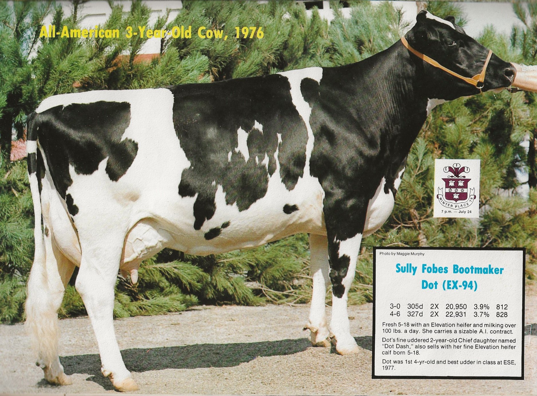 Legendairy - Sully Fobes Bootmaker Dot EX-97 GMD DOM b. 7/24/1972 was ...