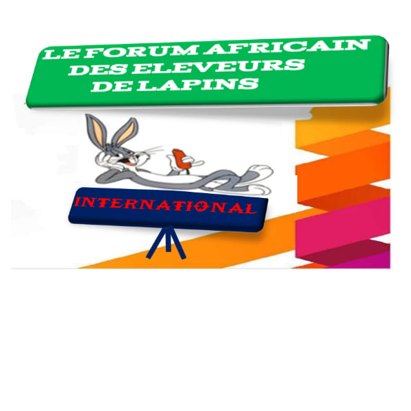 Giant Flemish Rabbit | I am looking for a giant Flemish rabbit , I live ...