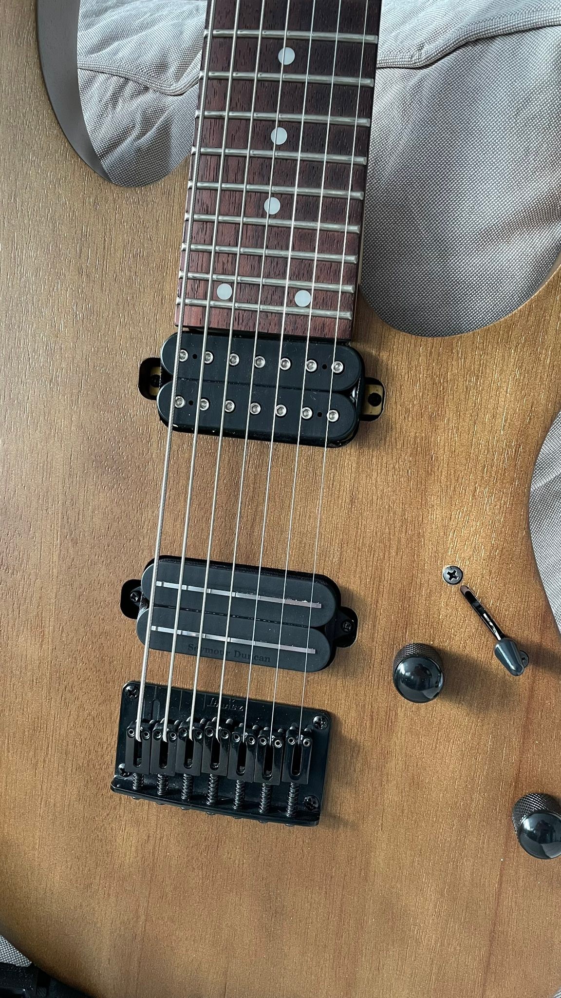 2015 Ibanez Iron Label 7 string with Nazgul/Sentient pickups