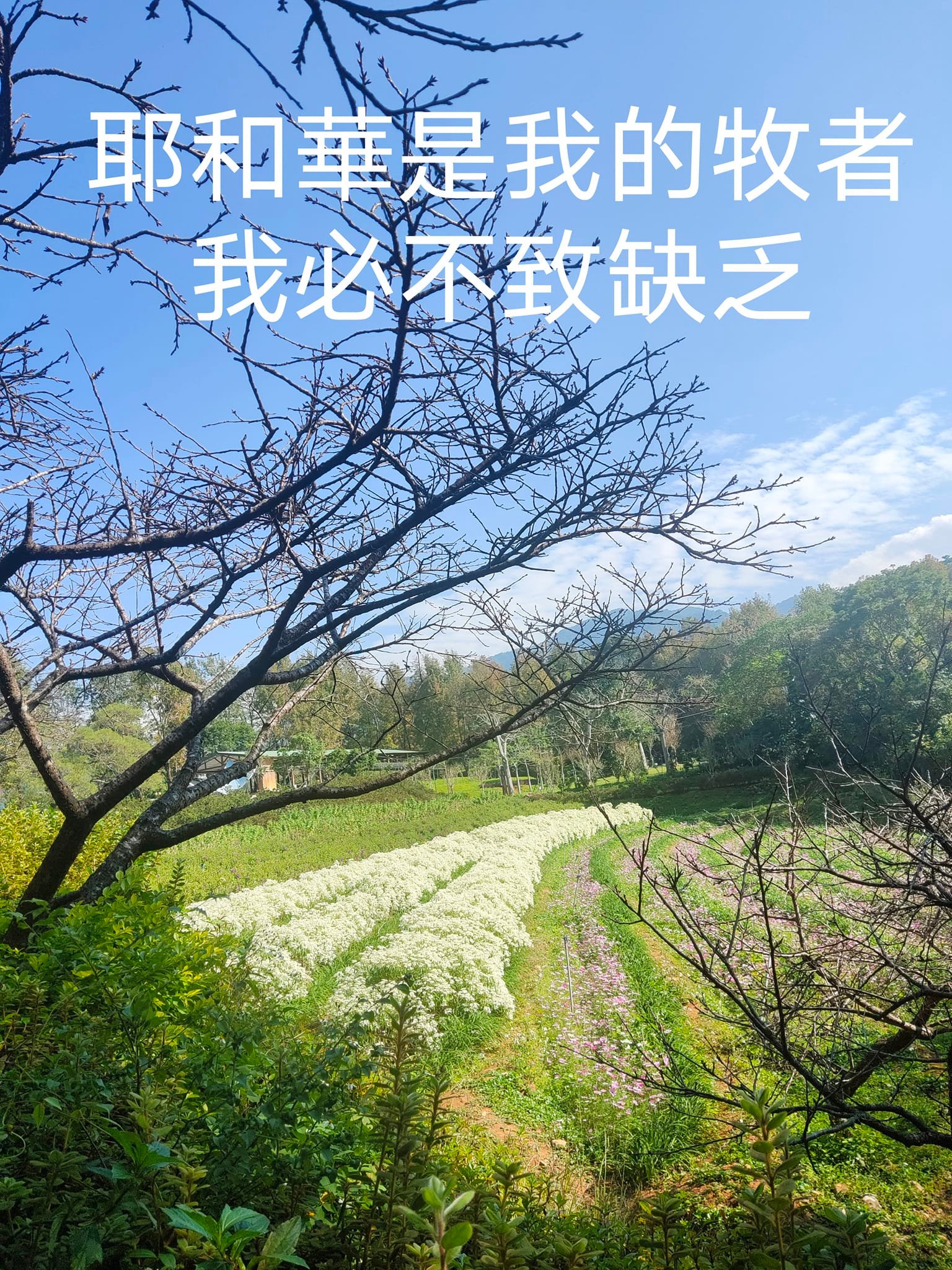 蔡佩雯