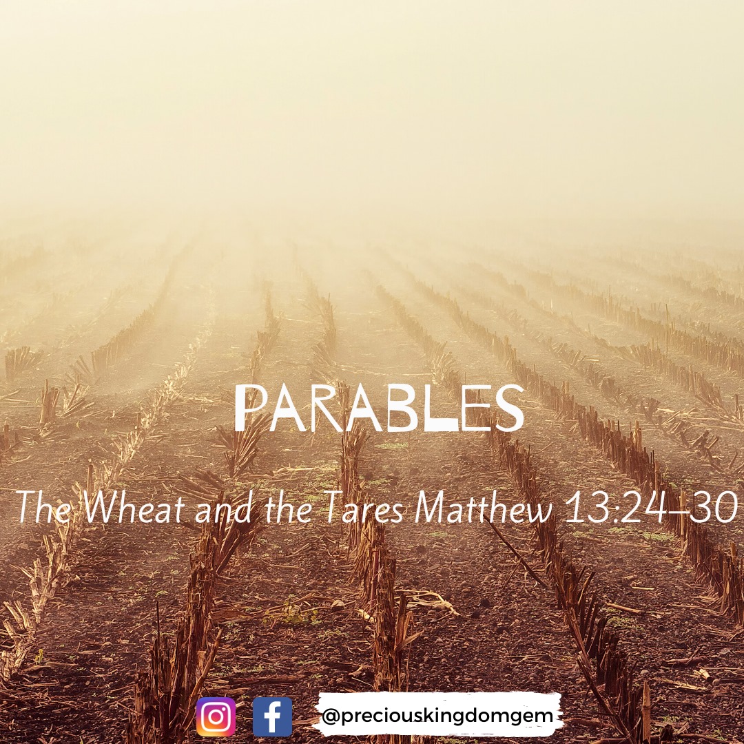 DrSherley - The Wheat and the Tares Matthew 13:24–30 A tare is a plant ...
