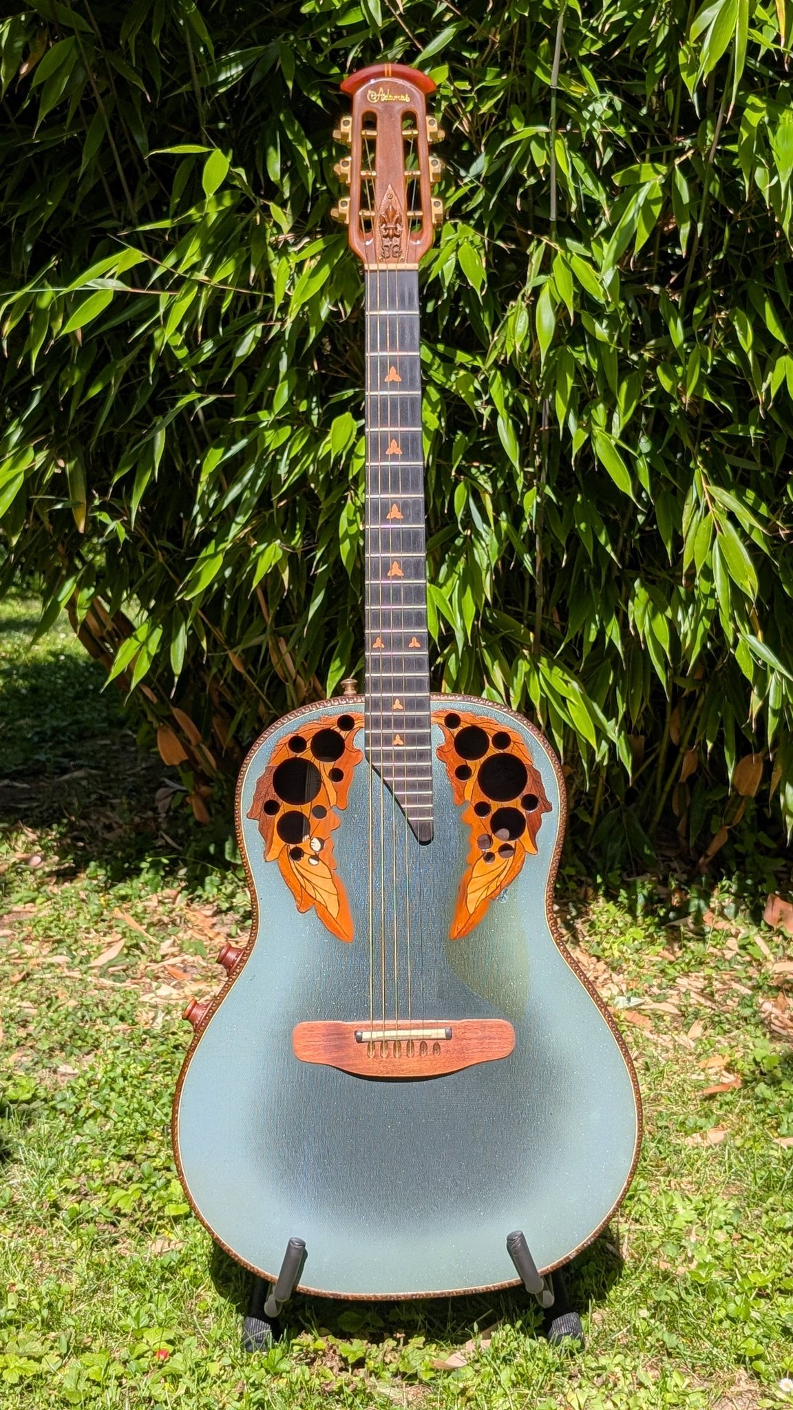 Ovation guitar collection and models