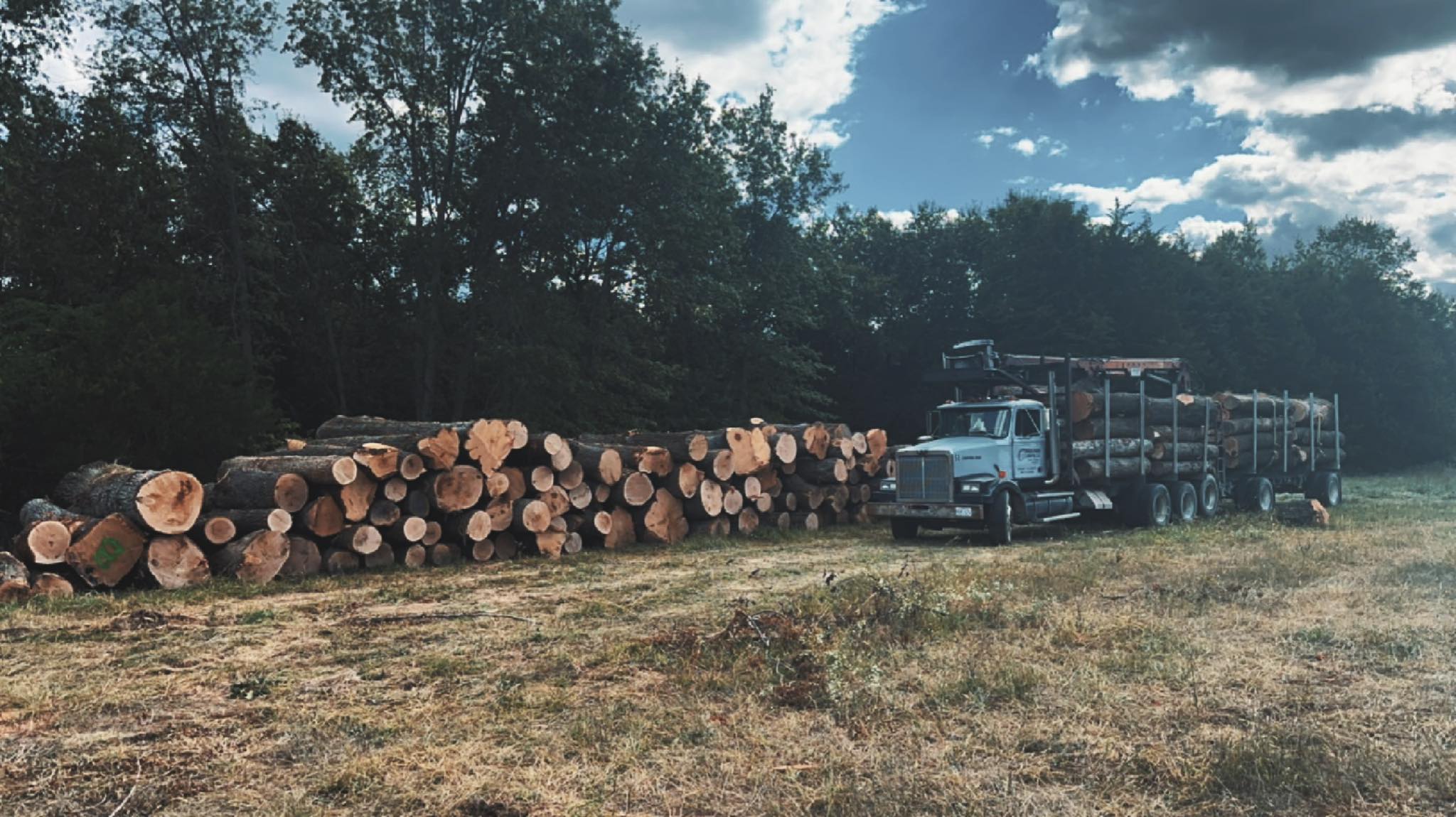 Baalman Logging LLC