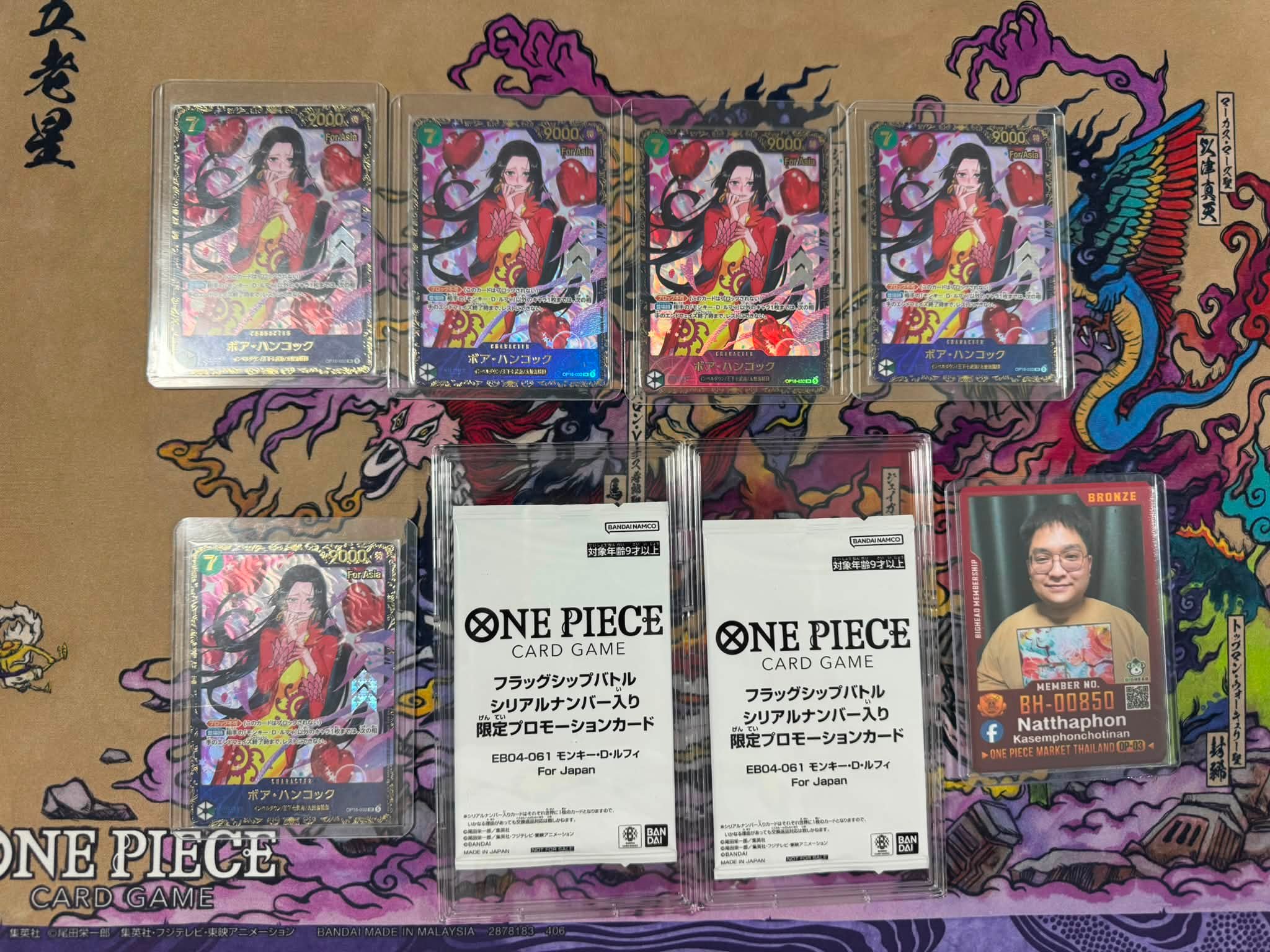 🏝️ Card Island 🏝️