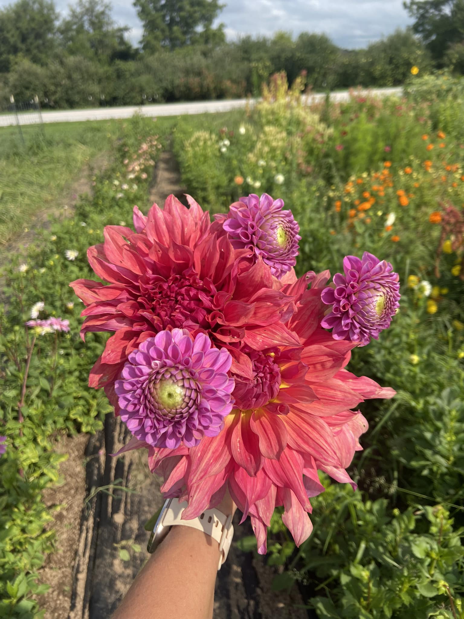 Humble Roots Garden, LLC | Green Springs OH