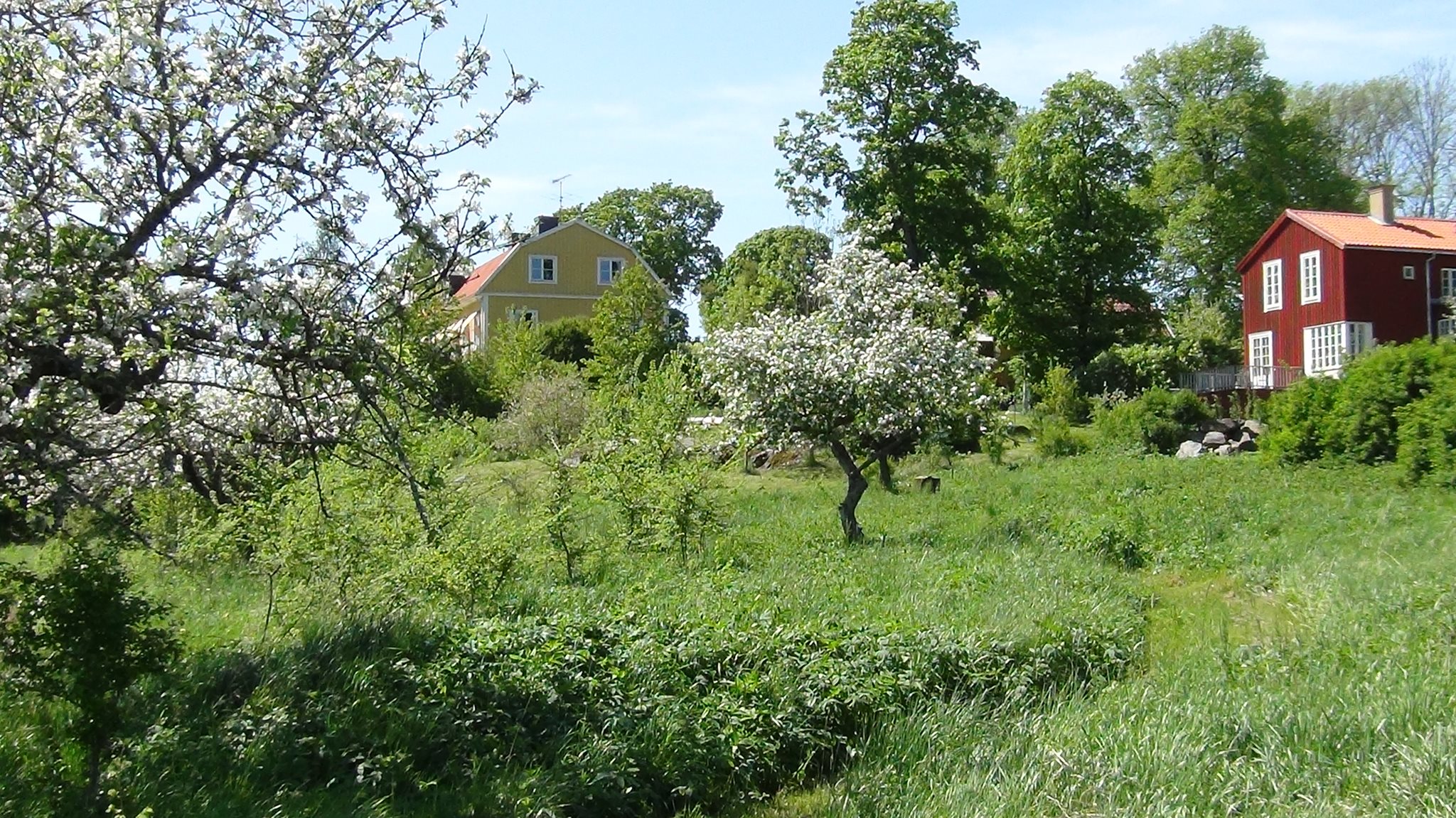 Nackunga bogemenskap | Hölö