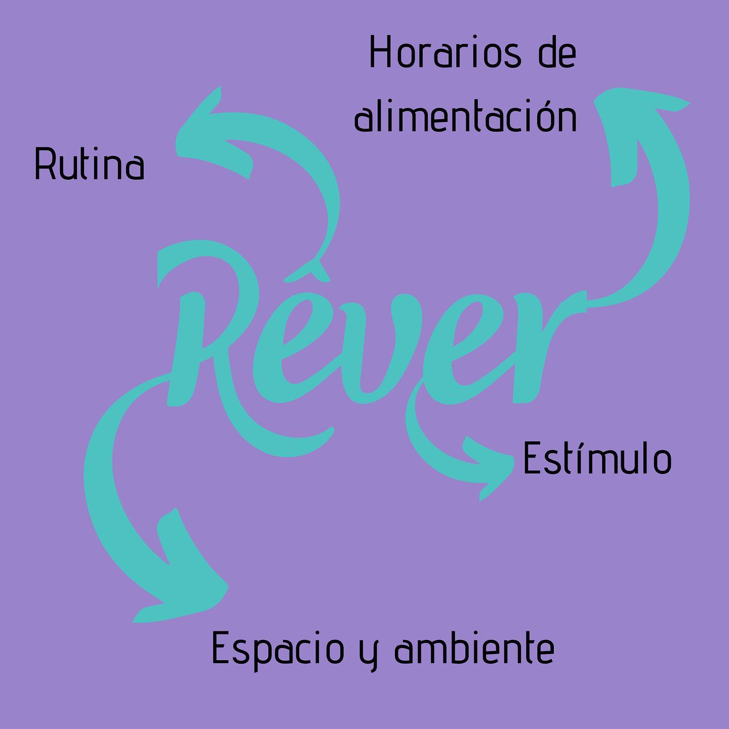 Los 4 factores que se manejan... - Método Rêver - Rêvermethod