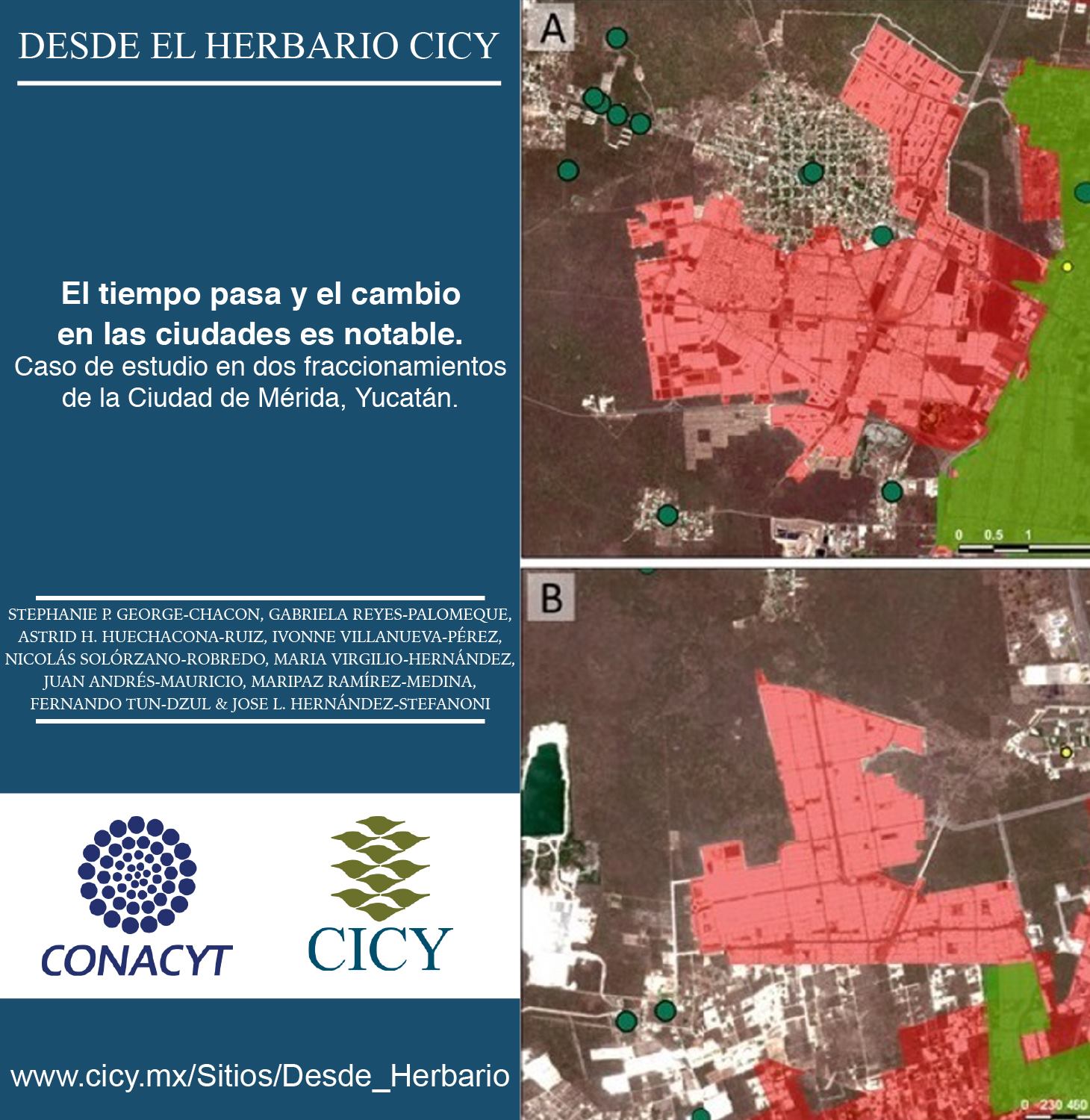 ¿Son... - CICY - Centro de Investigación Científica de Yucatán