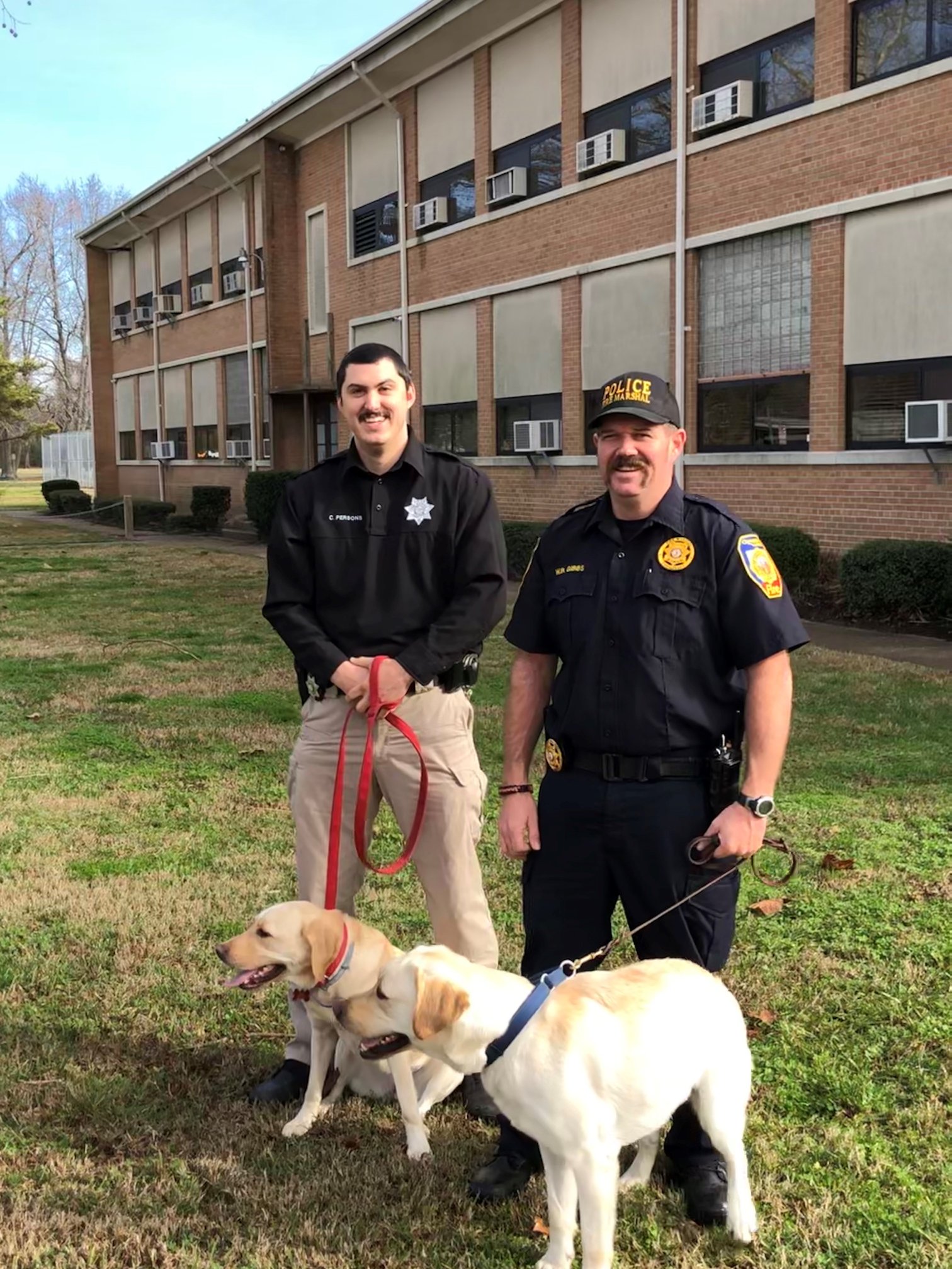 Hampton Fire - Today, Pyper and Cinco the only two... | Facebook