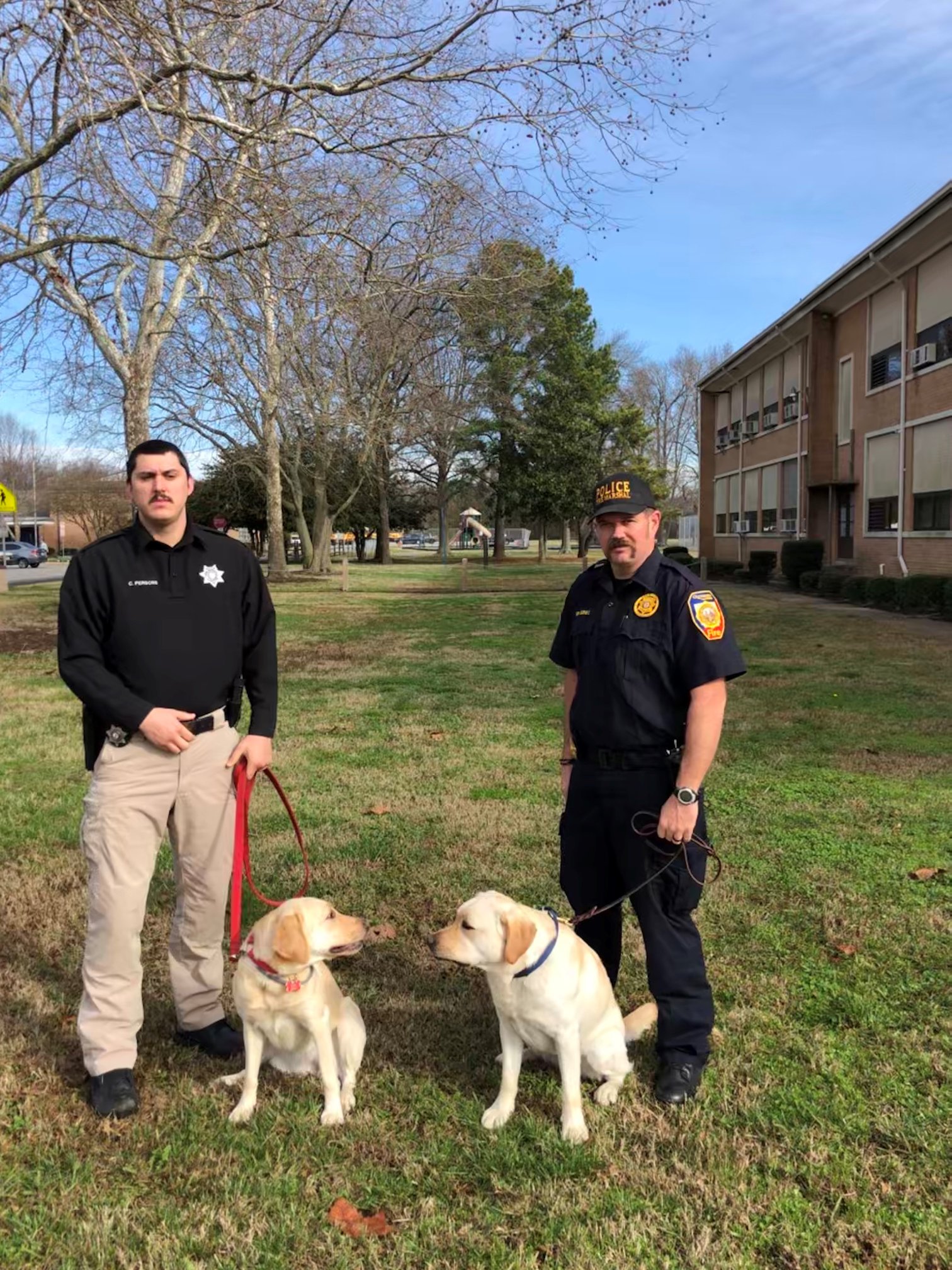 Hampton Fire - Today, Pyper and Cinco the only two... | Facebook