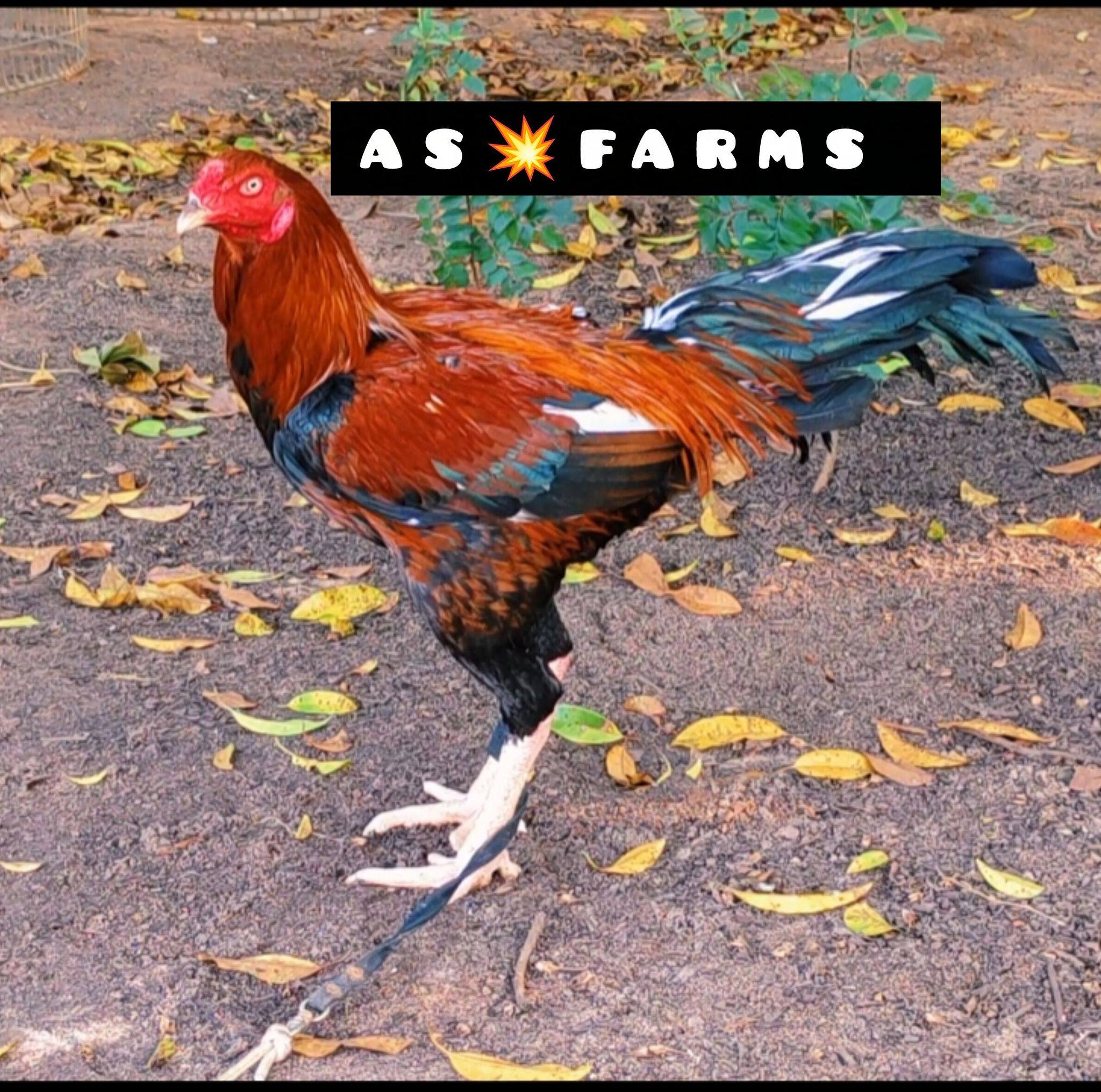 AS Farms