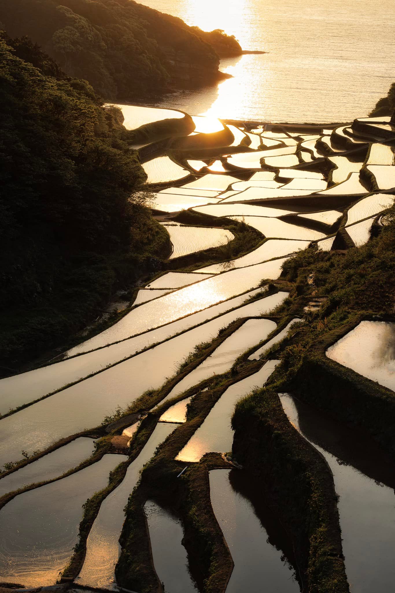 Tokyo - Terraced Rice Fields of Hamanoura, Saga Prefecture. Photo by 福田 ...