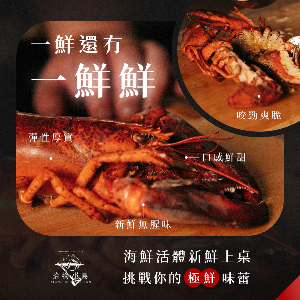拾物小島Selectislands | Neihu District