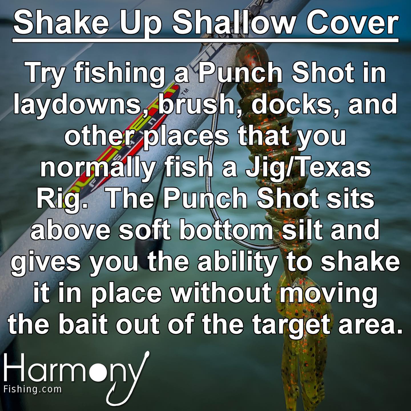 The Punch Shot Rig is an... - Harmony Fishing Company