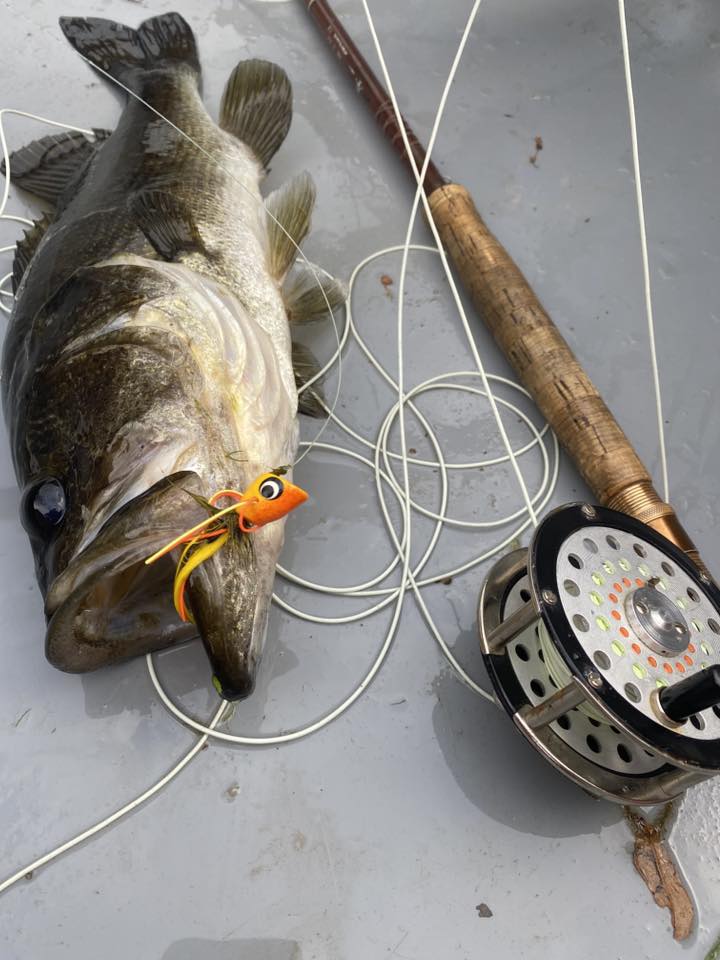 adidas energy backpack in beige for men and women VEVOR Rod and Fishing Color:#28 Chart Bait CastWeight_specs005:N/A