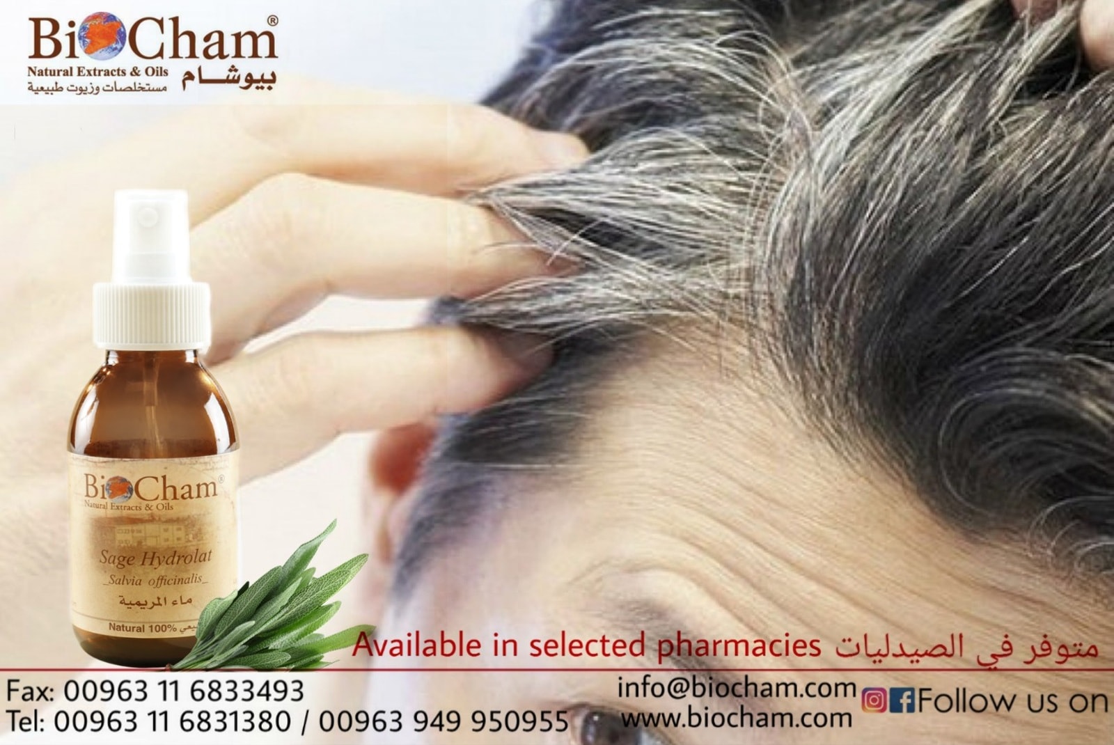 Biocham خلاصة المريمية المائية و تعزيز لون الشعر تعمل الهرمونات على تنظيم إنتاج صبغة الميلانين في الجسم وهي الصبغة المسؤولة عن إعطاء لون الجلد و الشعر يعد الاستروجين