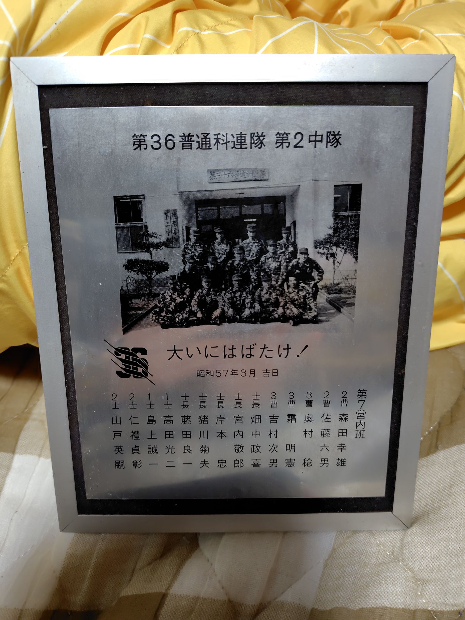 公の場での発言・インタビュー報道記録
