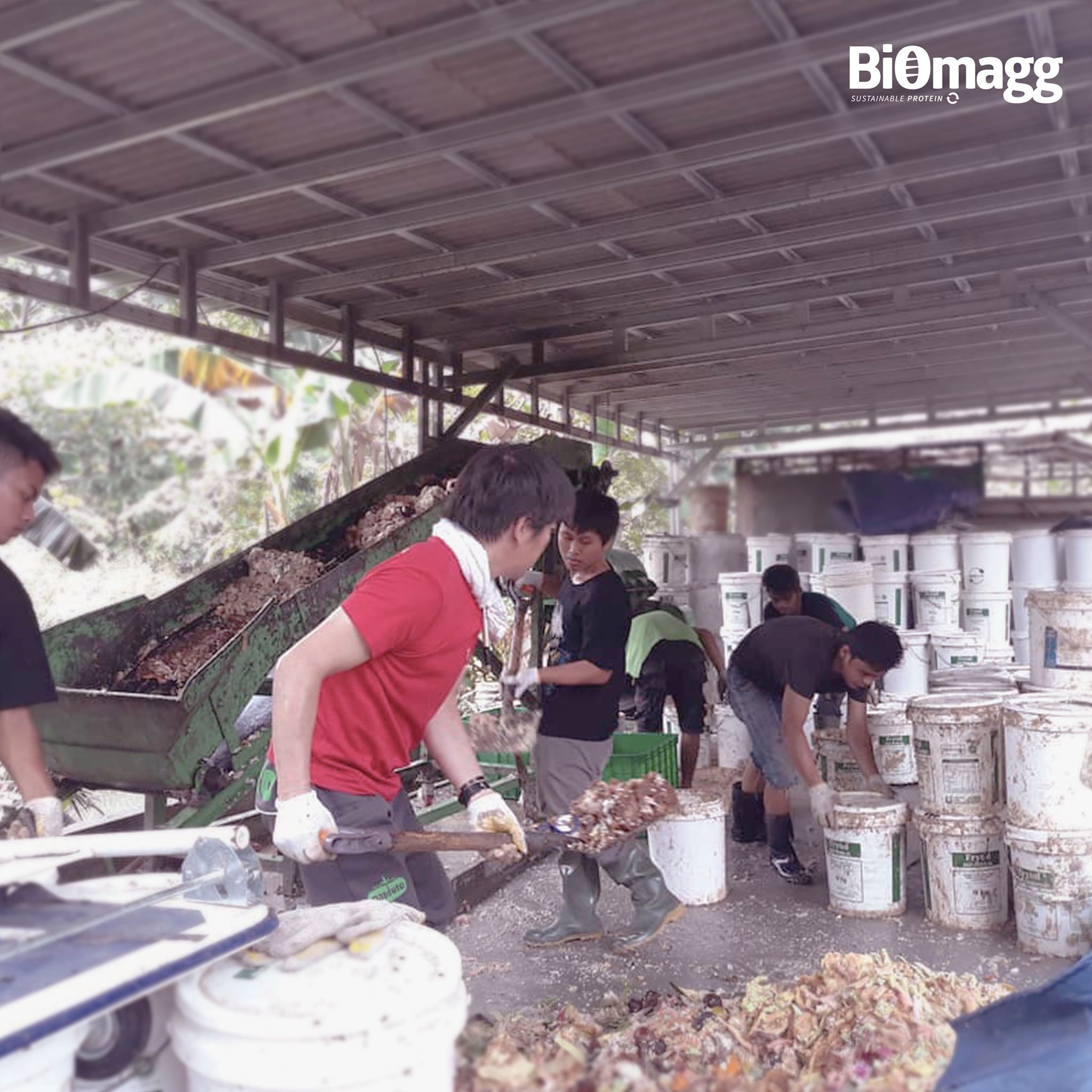 Biomagg - Sampah organik bisa dikatakan sebagai sampah...