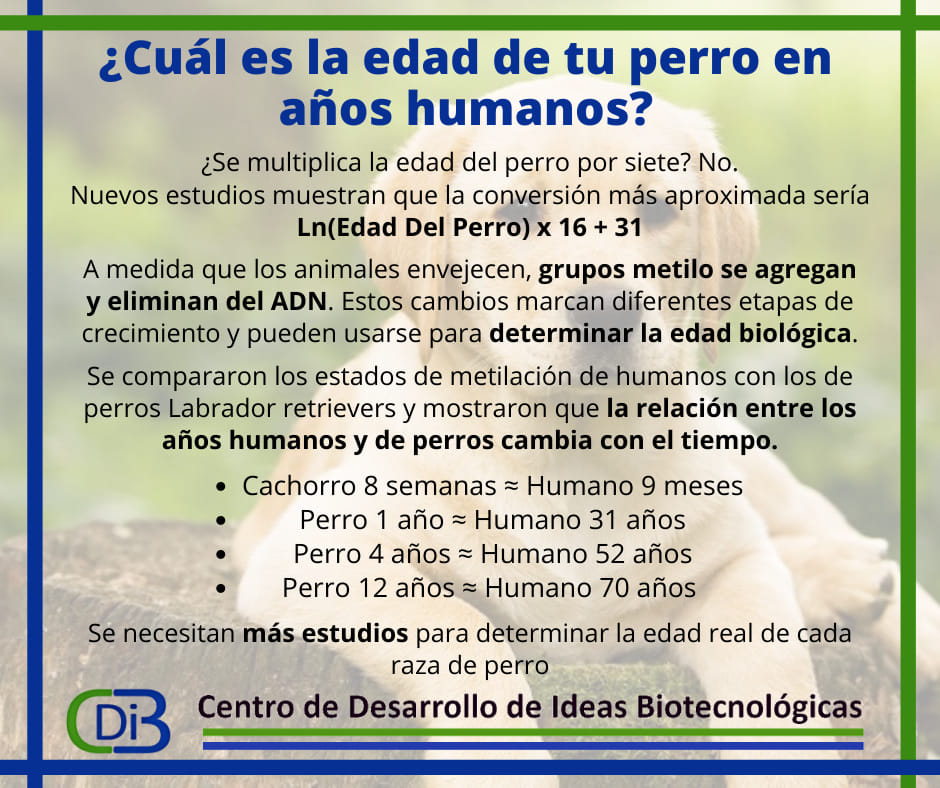 🐶... - CDIB - Centro de Desarrollo de Ideas Biotecnológicas