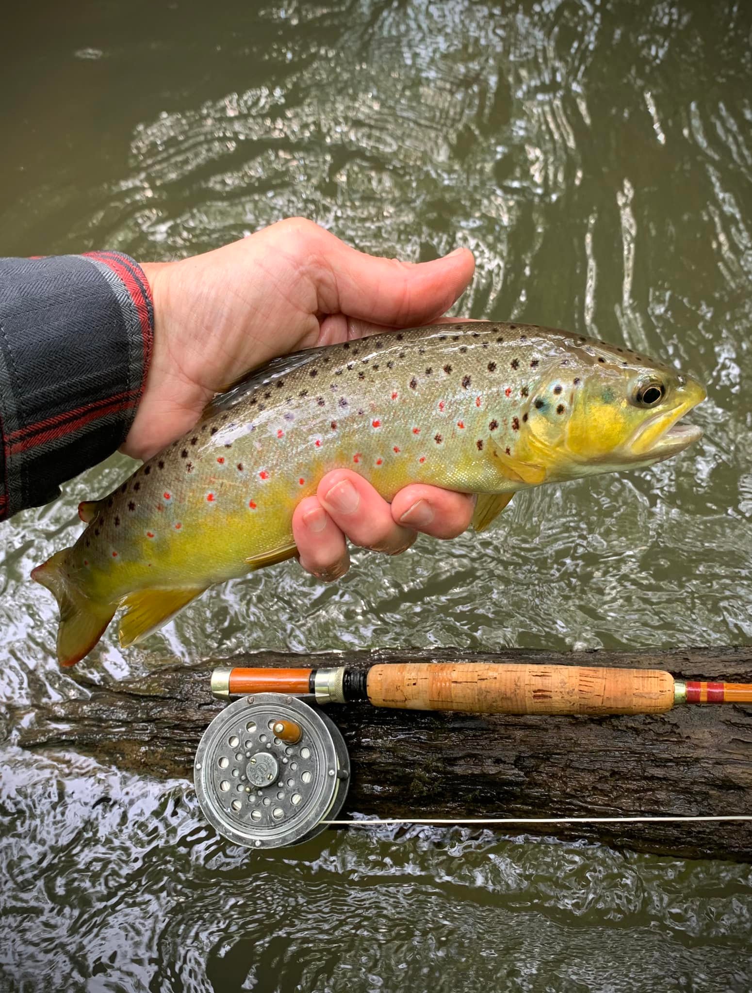 best fly rod for brook trout fishing Small Stream Kit  Risen The Best Fly Rods for