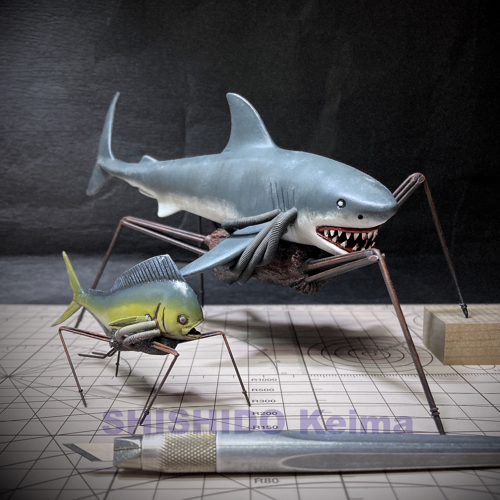 Walking shark