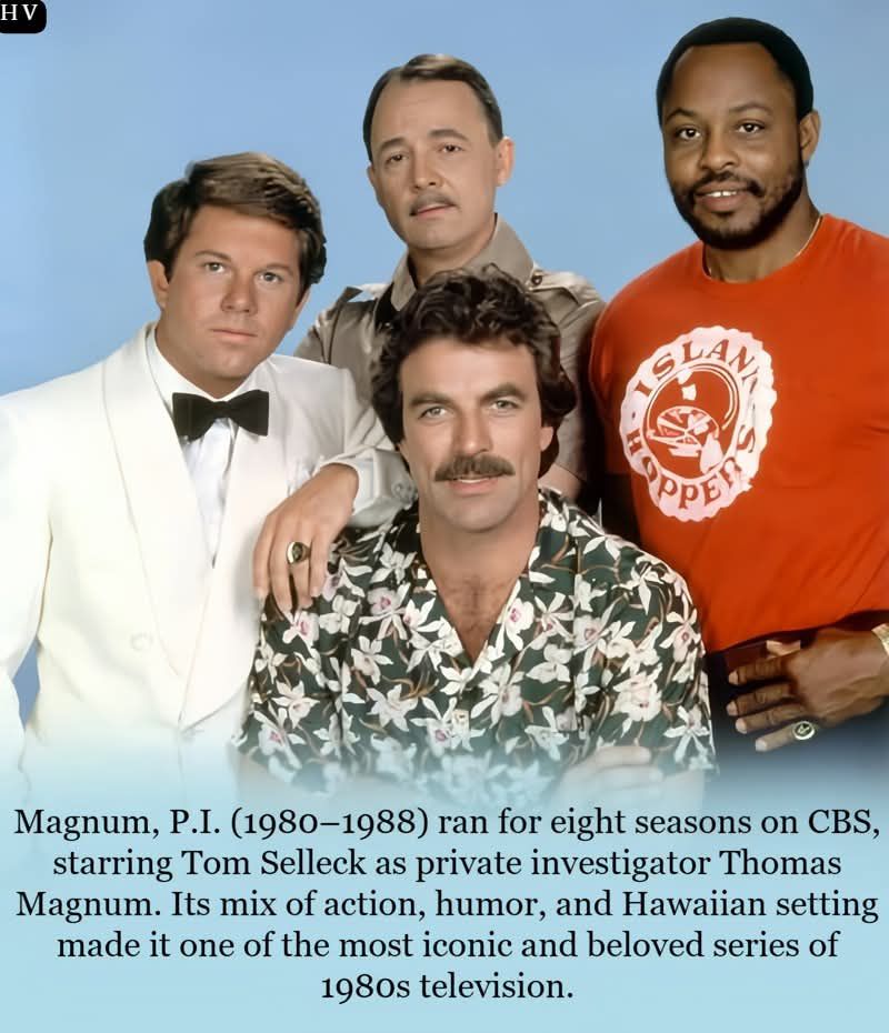 Maglietta Uomo Island Hoppers Magnum PI – Grigia – Taglie S-5XL – Serie TV Anni 80